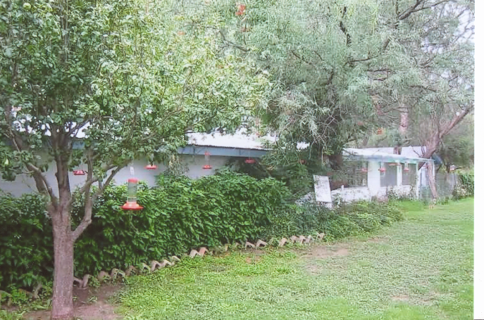 06-13 Paton's Birder Haven